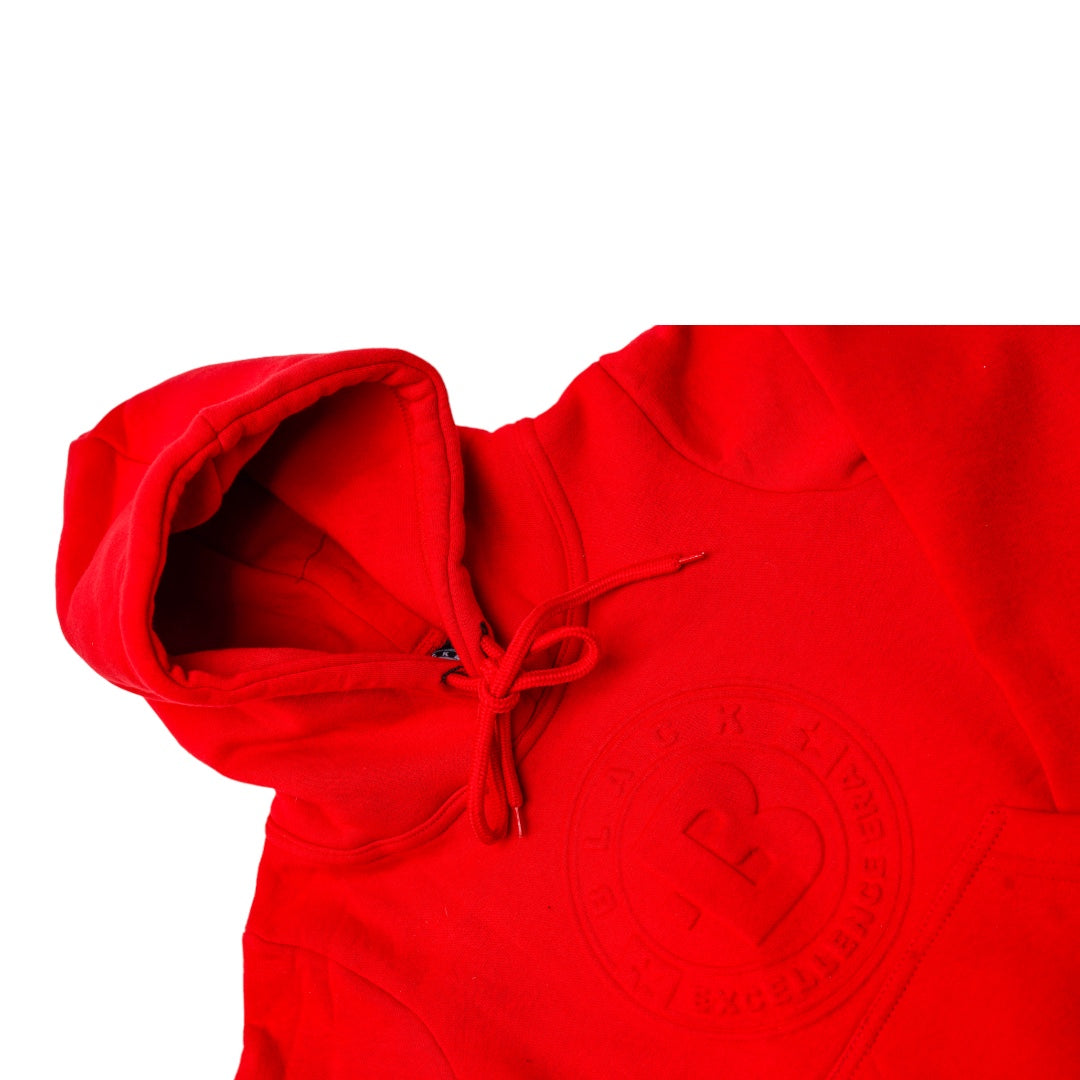 Black Excellence Youth Embossed Hoodie